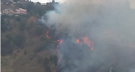 Darwin González informa que incendio forestal ha consumido 10 hectáreas entre los municipios Baruta y El Hatillo