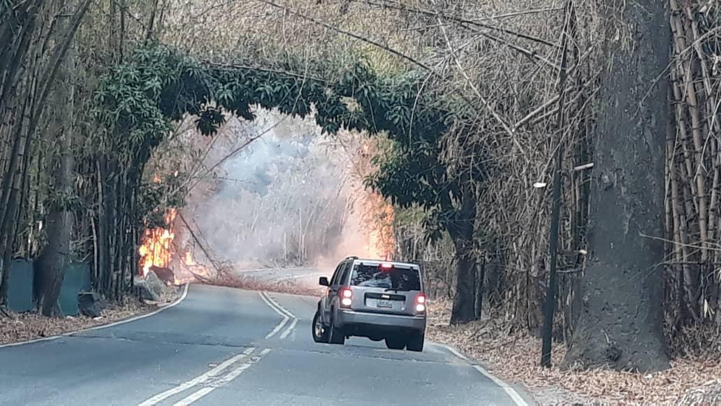 Gustavo Duque reporta incendio forestal en el Country Club (VIDEO)