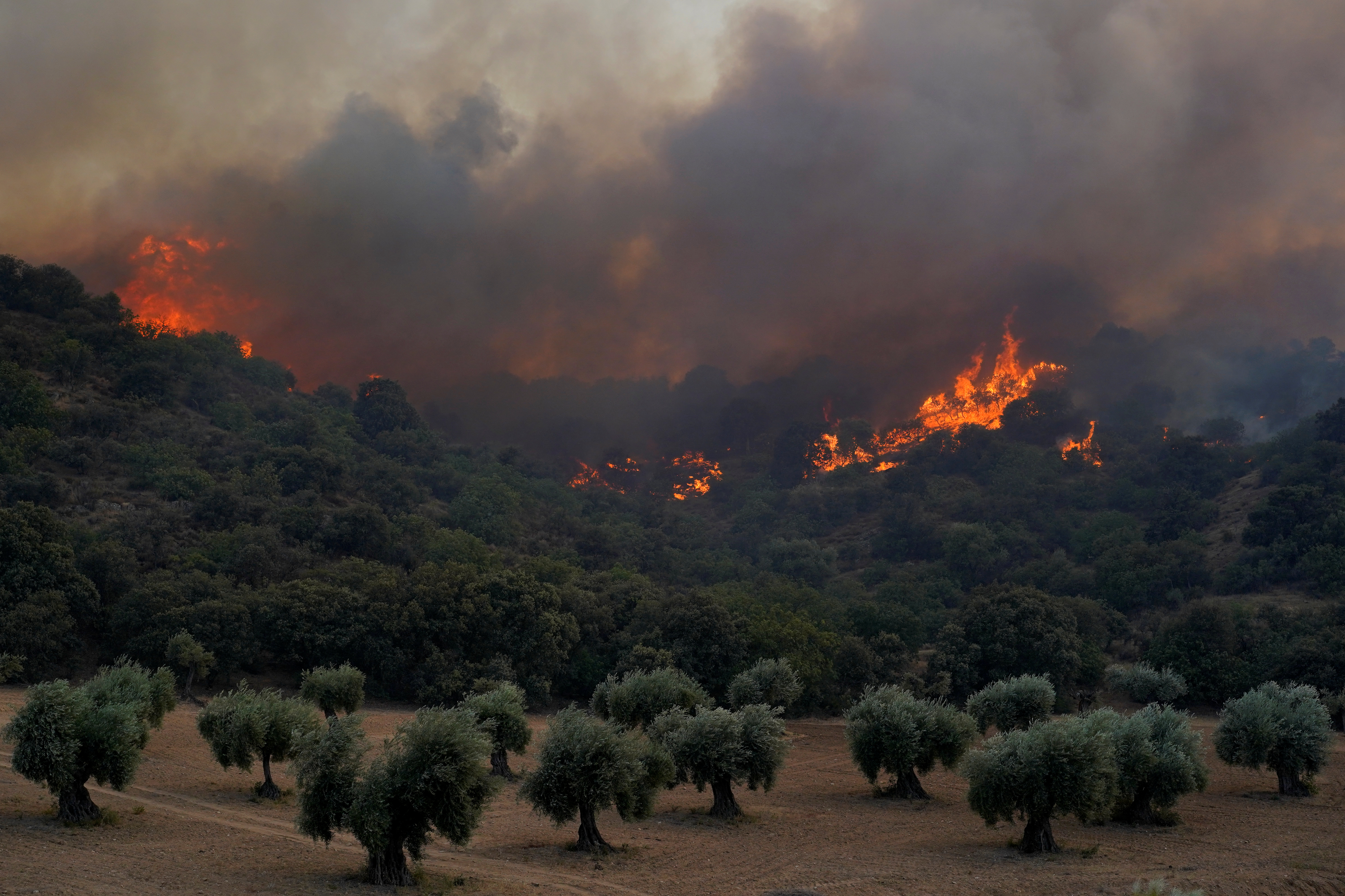 Incendio forestal por ola de calor en España fuerza nuevas evacuaciones