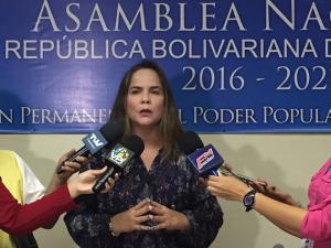 Diputada María Beatriz Martínez: Maduro acabó con el sistema eléctrico, por la corrupción y la ineficiencia