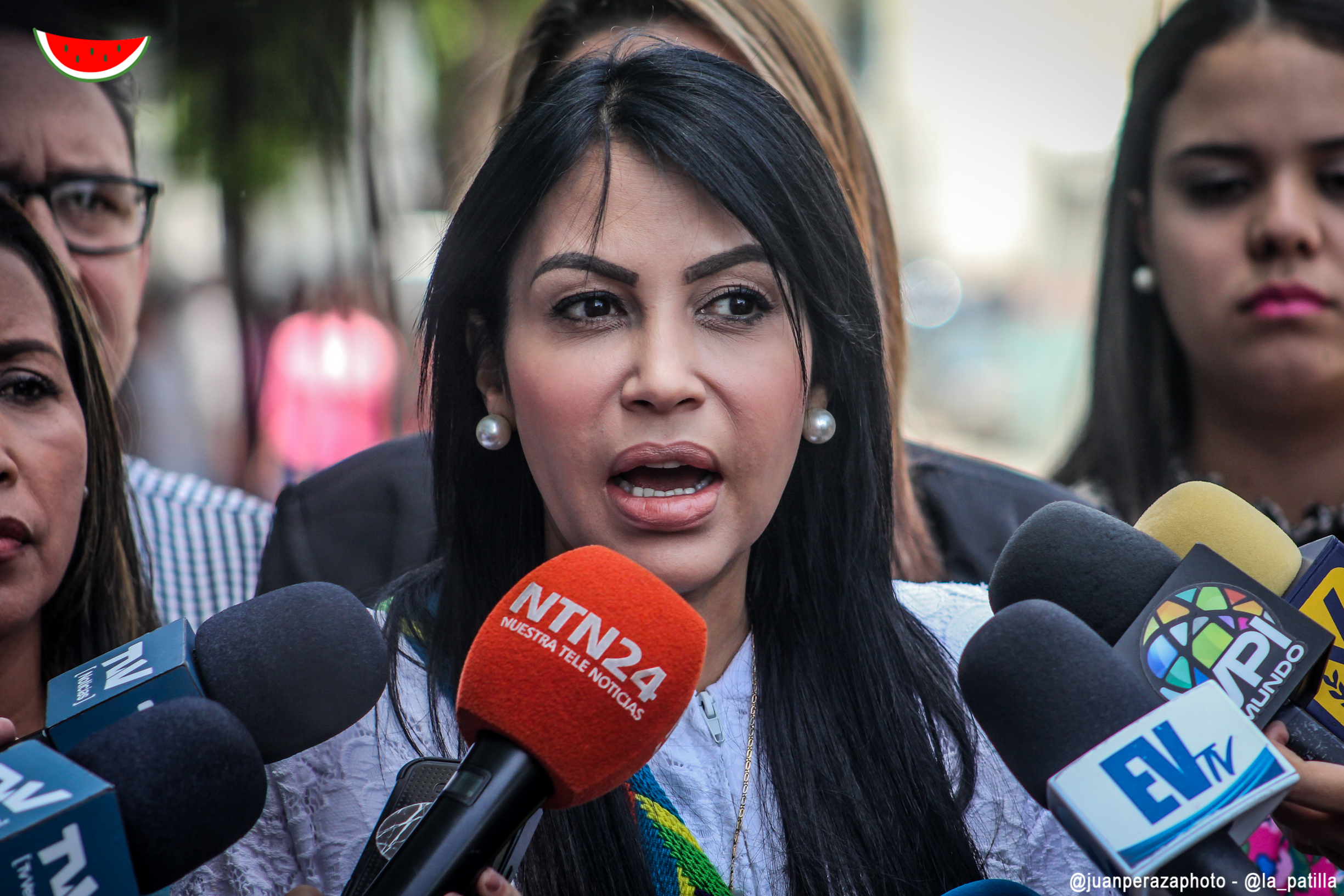 “Las pruebas están en los organismos internacionales”: Delsa Solórzano niega acusaciones de Diosdado