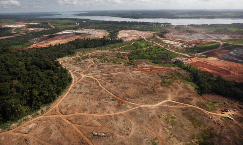 Deforestación en Amazonía brasileña aumenta en julio 278% interanual