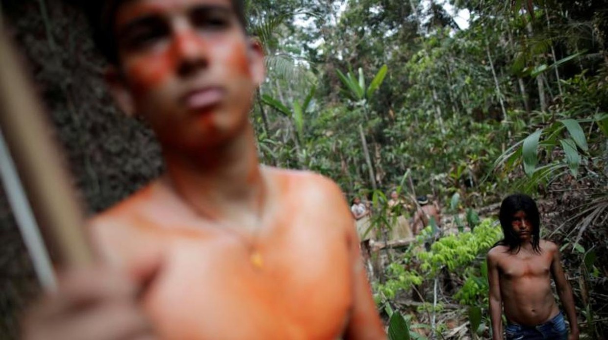 La Amazonia es un gran recipiente de virus, advierte investigador brasileño