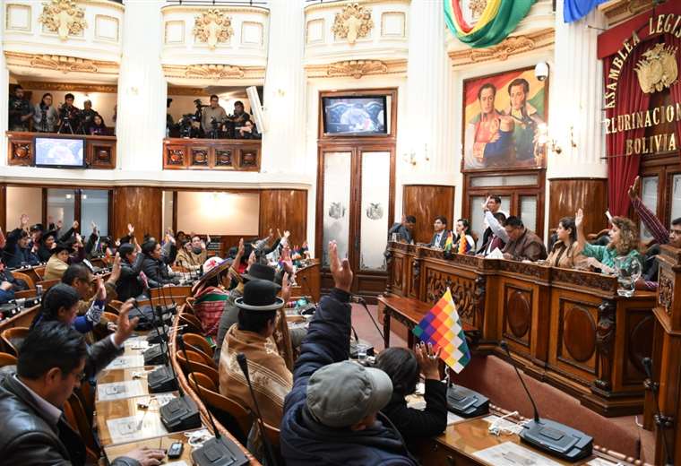 Congreso da luz verde a elecciones en Bolivia sin Evo Morales