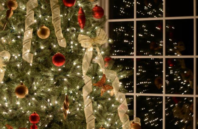 Detenido por lanzarle un árbol de Navidad a su esposa porque le pidió “ayuda para preparar la cena”