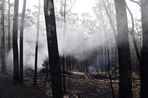 Humo de los incendios forestales de Australia llegó a Brasil