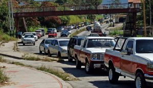 Temporadistas en Mérida deben registrarse en sistema de abastecimiento para acceder a la gasolina