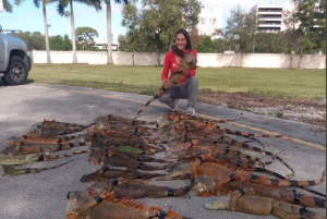 Una mujer capturó 40  iguanas en Broward