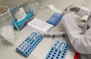 Dinamarca registra su primer caso de nuevo coronavirus