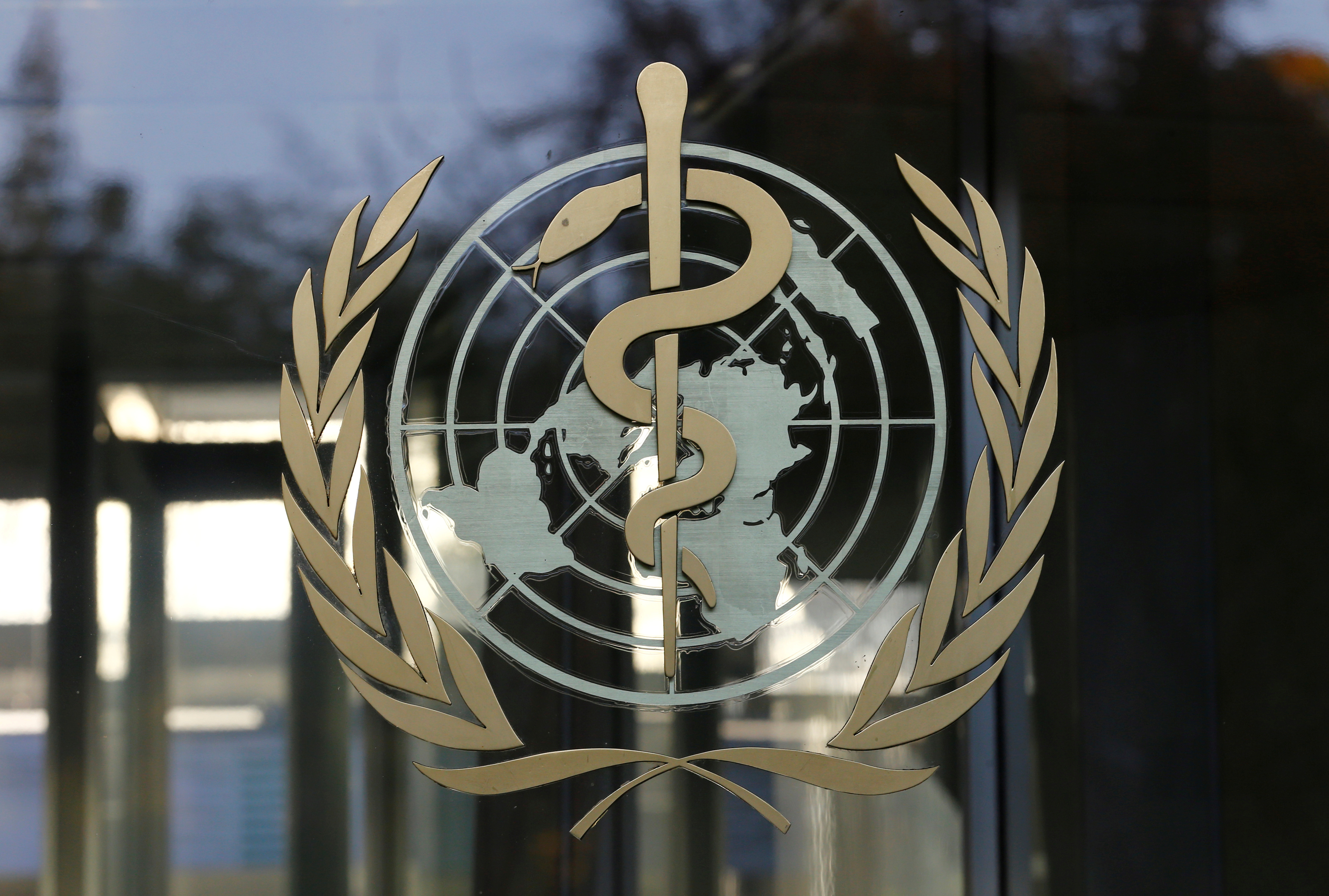 OMS: Muertos por Covid-19 podrían alcanzar los 2 millones antes de que haya vacuna