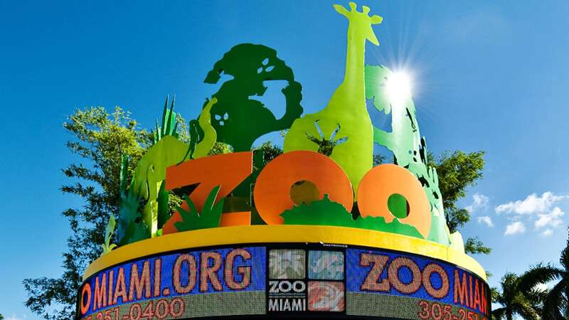 Zoo Miami reabrirá a sus miembros el 27 de mayo y al público en general el 1 de junio
