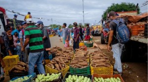 La sequía de gasolina traba comercio de productos agrícolas en Guayana