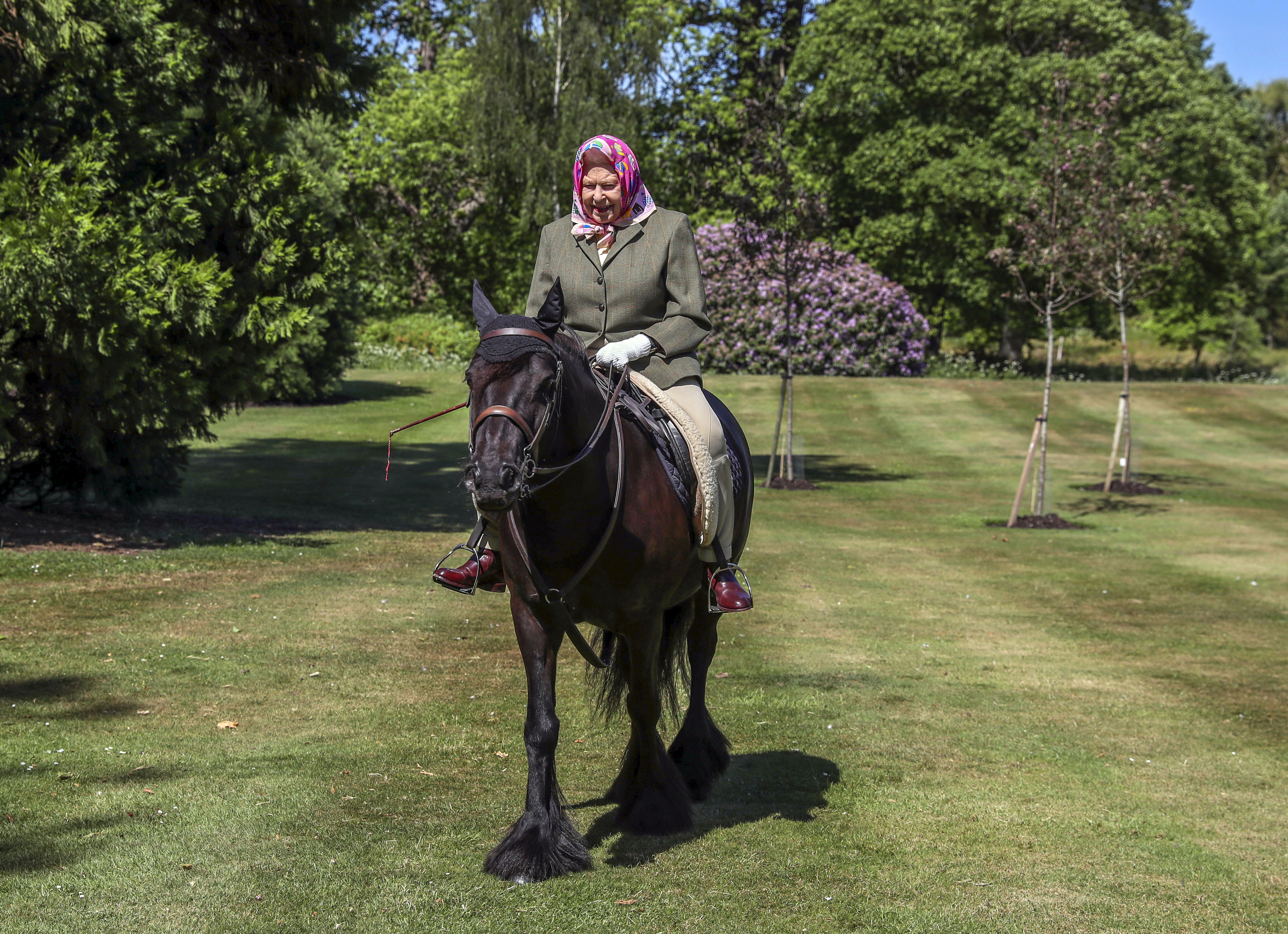 La reina Isabel II monta a caballo en su primera salida desde el confinamiento (Fotos)