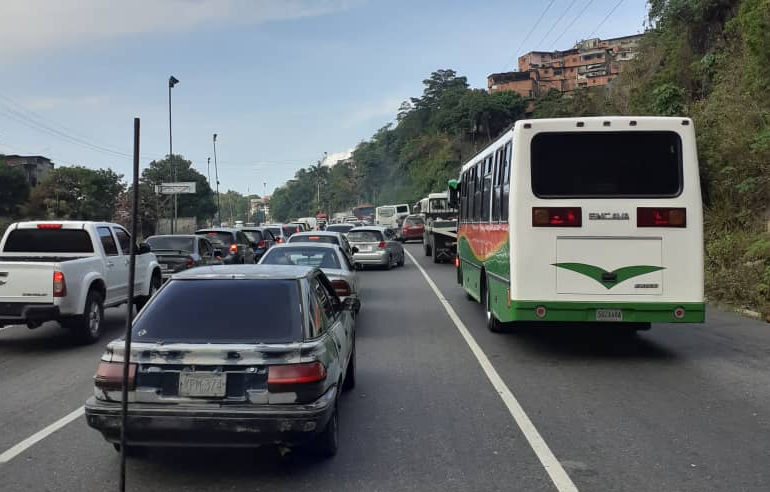 Sin miedo al virus, guaireños exponen su salud y caminan hacia Caracas para ganarse “la papa” #22Mar (VIDEO)