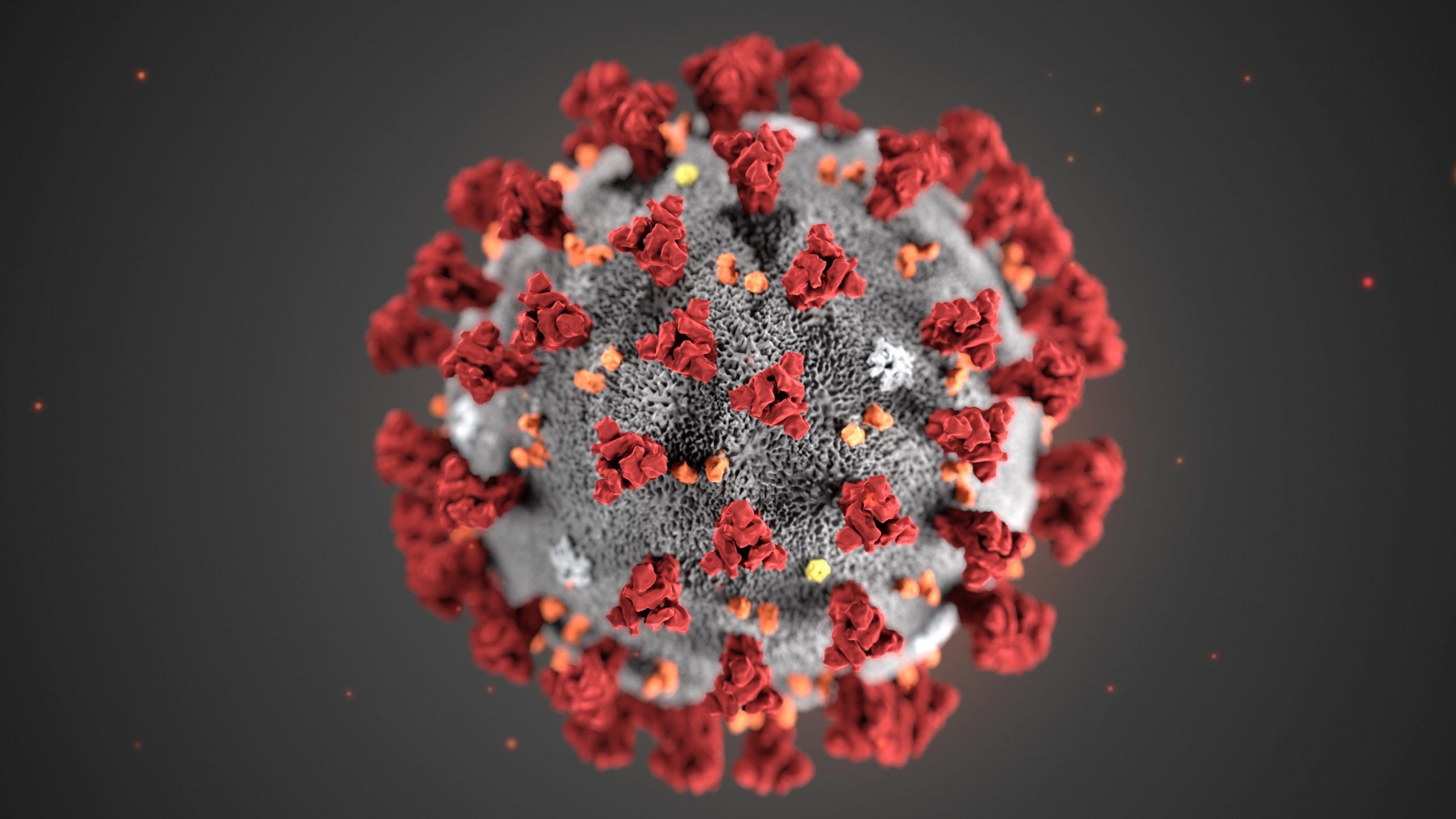 Florida ve más de 2,600 nuevos casos de coronavirus