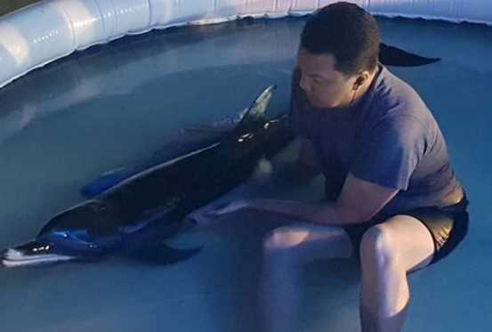 Delfín rescatado por Waterland en Venezuela falleció pese a esfuerzo de salvarle la vida