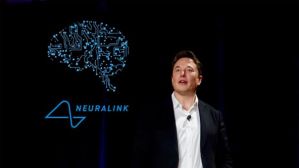 Elon Musk negó la crueldad de Neuralink: dijo que los monos con chips cerebrales viven en el paraíso