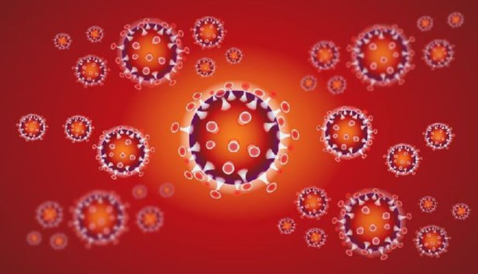 ¿Qué se sabe de la nueva cepa de coronavirus?