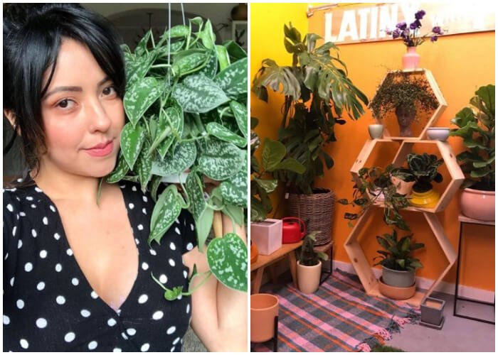 Se arriesgó y triunfó: Latina emprendió un exitoso negocio de plantas en Los Ángeles