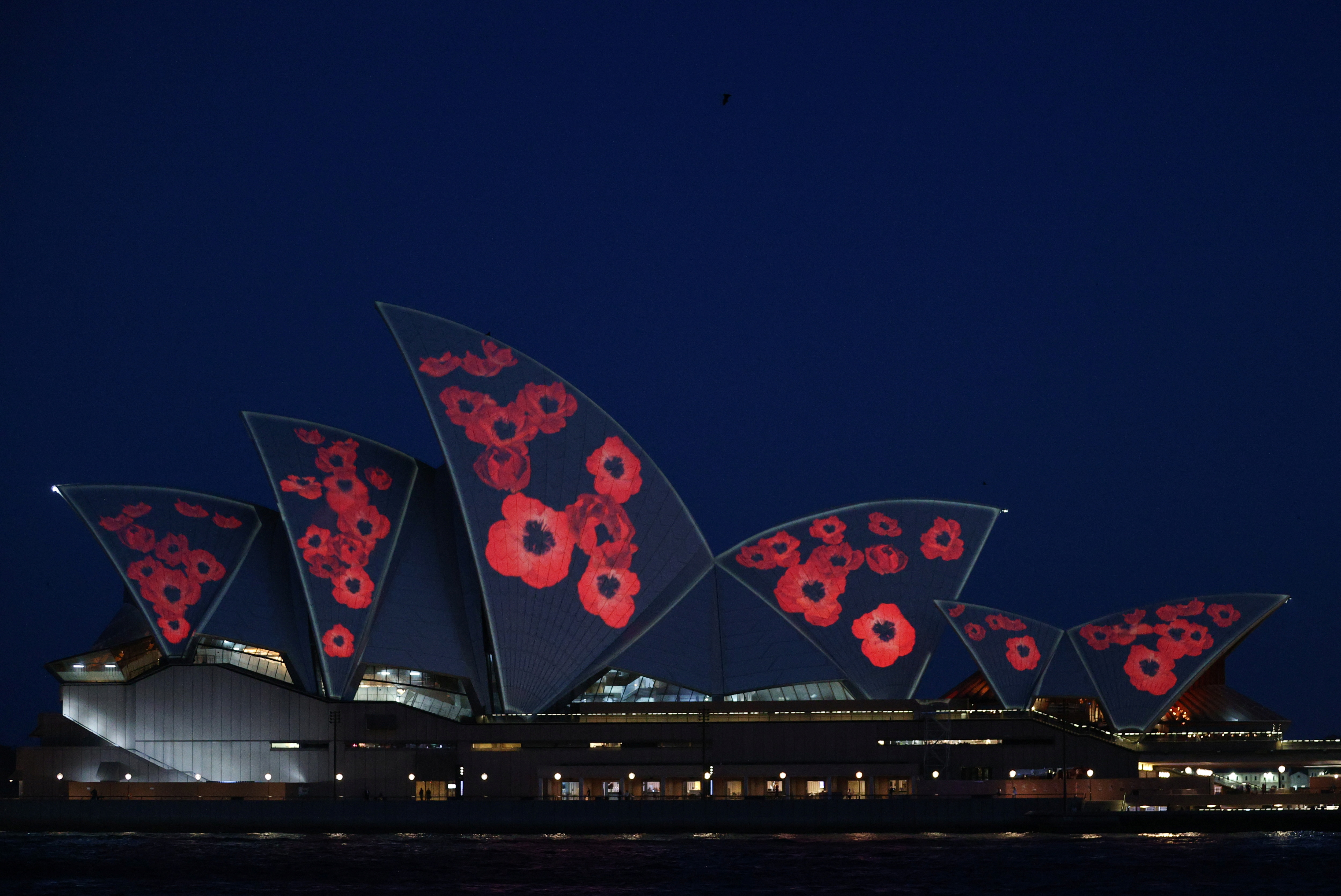 La Ópera de Sídney se ilumina con amapolas para el Día del Recuerdo