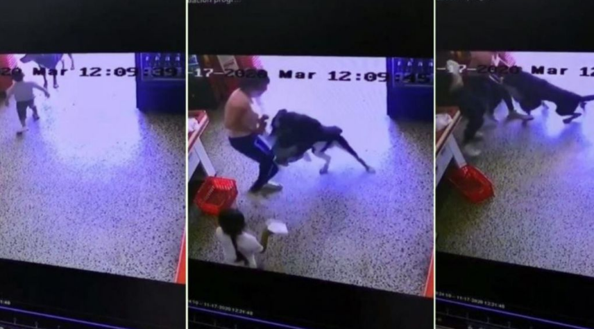 El dramático momento en que un perro atacó a un niño en un supermercado (VIDEO)