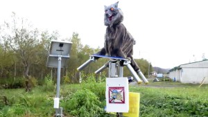 En una ciudad japonesa usan monstruosos “lobos robot” para ahuyentar a los osos (VIDEO)