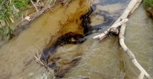 EN FOTOS: Reportan derrame de petróleo en la planta Pdvsa Jusepín sobre el río Guarapiche en Monagas