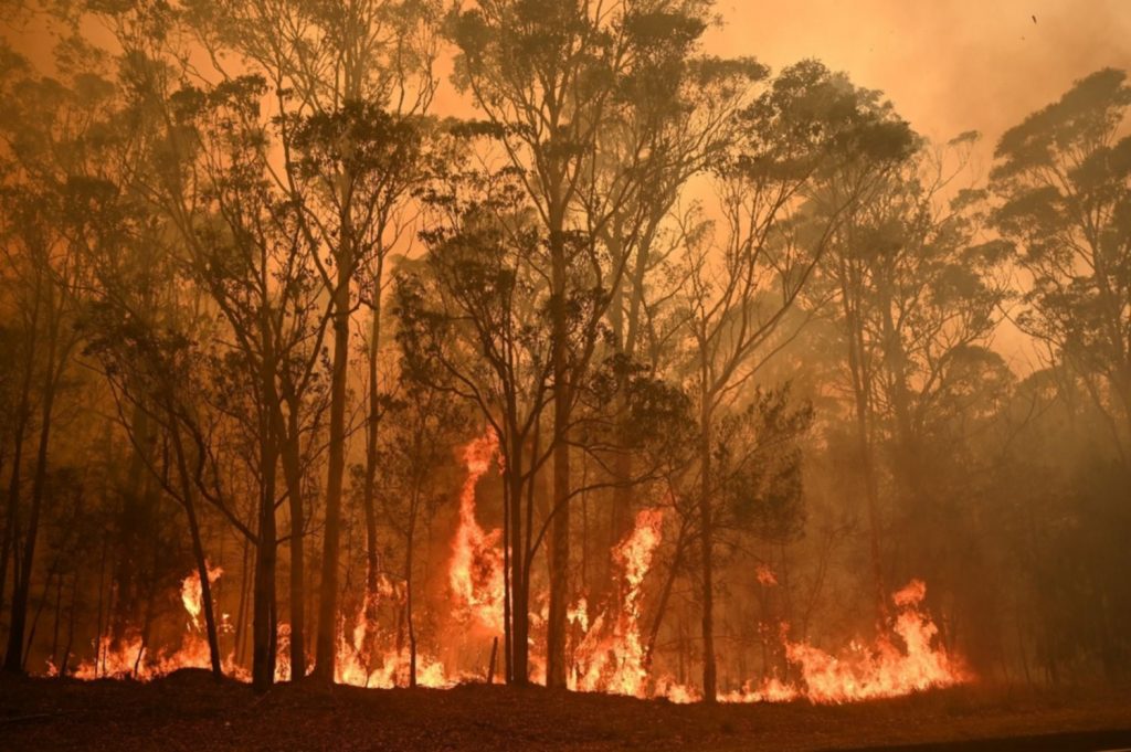 Incendios forestales fuera de control amenazan ciudad australiana de Perth