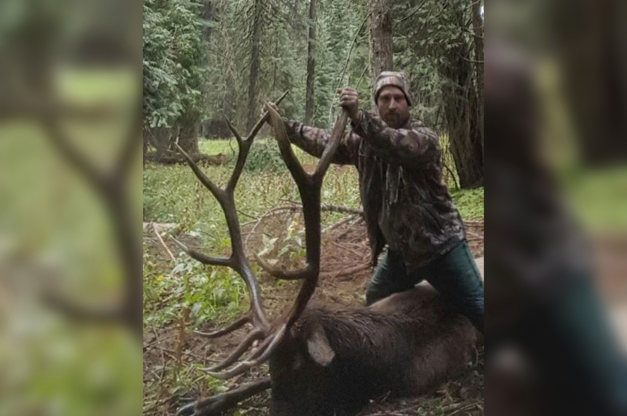 Cazador de Oregon fue expulsado del Parque Nacional Crater Lake después de matar alces