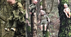 Hallan una tétrica colección de muñecos clavados en árboles en un bosque de Inglaterra