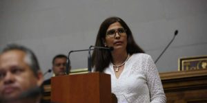 Diputada María Hernández urgió a la comunidad internacional atender expansión de grupos irregulares en Venezuela