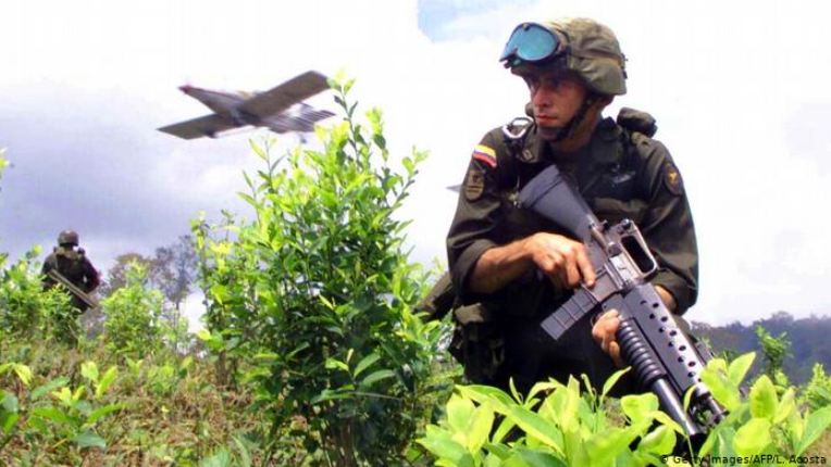 Colombia erradicó 38 mil hectáreas de coca pero aún tiene la mayor cantidad de narcocultivos