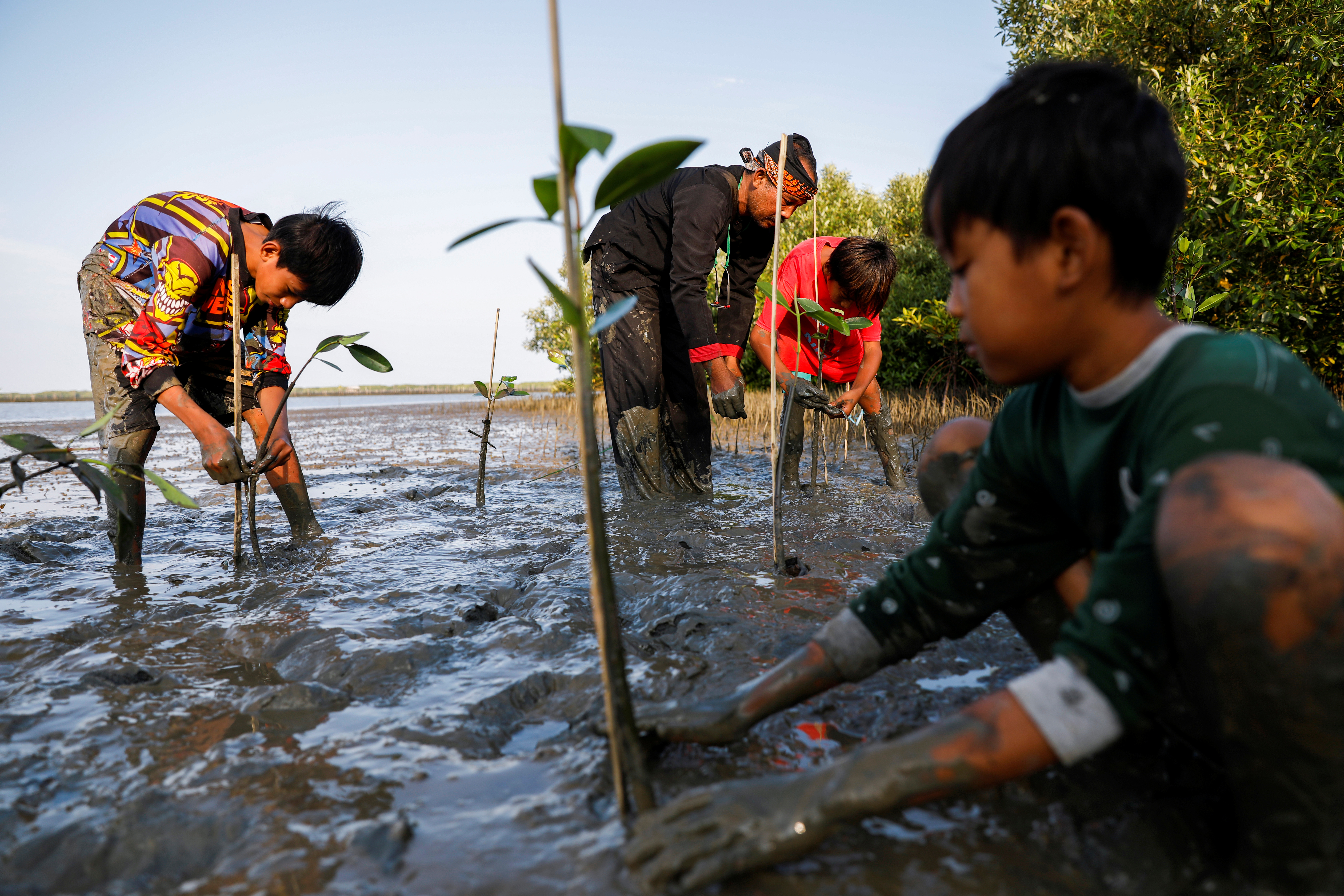 Con títeres y cuentos, ambientalista lucha por salvar los manglares de Indonesia