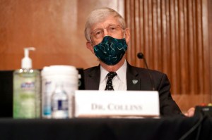 Jefe de los NIH afirmó que algunas regiones de EEUU se acercan a la “inmunidad colectiva” al Covid-19