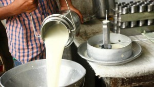 Cavilac reporta que producción nacional de leche se ubica entre el 10% y 12%