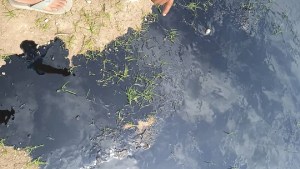 Un derrame de crudo se produjo en el estado Anzoátegui