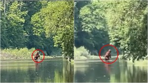 Joven aseguró haber visto al famoso “Pie grande” en un río de Michigan (VIDEO)