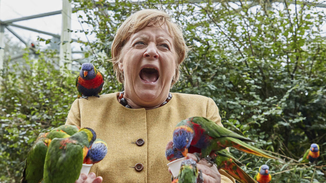 Angela Merkel visitó un parque de aves donde fue acorralada y mordida por una bandada de loros (FOTOS)