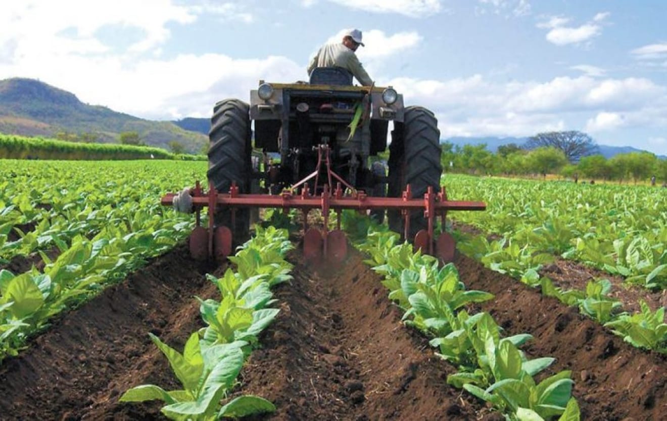 Agricultura en Venezuela con mejoría del 40% pero sin esperanzas para el 2023