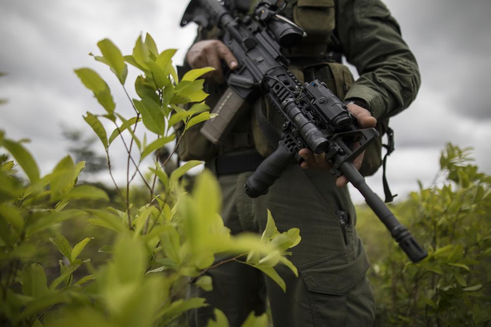Hablan los expertos: ¿Por qué es tan difícil acabar con el narcotráfico en Colombia, pese a la caída de los capos?