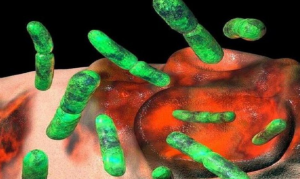 Pandemia silenciosa: bacterias resistentes a antibióticos