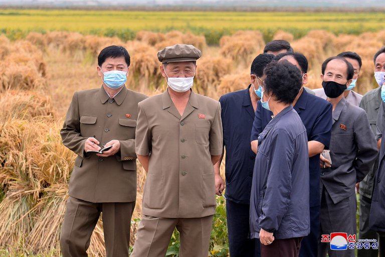 Kim Jong-un moviliza maestros para cosechar papas y evitar la hambruna en Corea del Norte