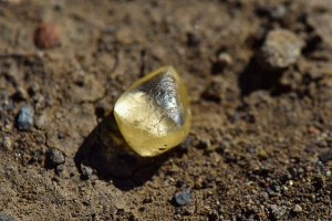 ¡Qué suertuda! Encontró un diamante de 4,38 quilates en un parque natural de Arkansas