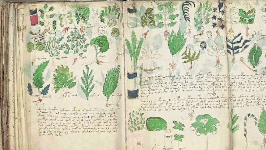 Código Voynich: La historia del manuscrito más misterioso del mundo