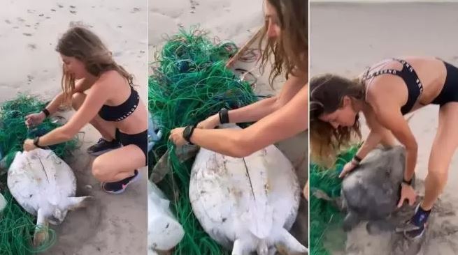 ¡Heroína sin capa! Gisele Bündchen salvó a tortuga marina atrapada en red de pesca (Video)