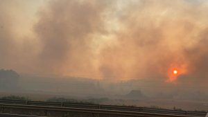 Incendios forestales en Chile han consumido más de 11 mil hectáreas
