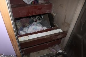 Inhumano: Mantuvieron a su hija secuestrada por dos años debajo de las escaleras de una casa en Nueva York