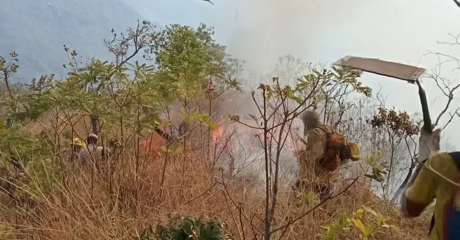 Bomberos trabajan con “las uñas” para combatir incendio forestal en el Parque Nacional Henri Pittier