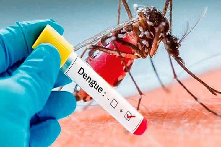 Día mundial contra el dengue: piden que haya más prevención