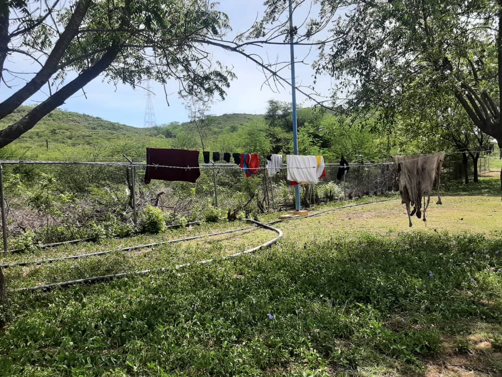 ¡Grave! El 100% de la población en Carora consume agua no tratada